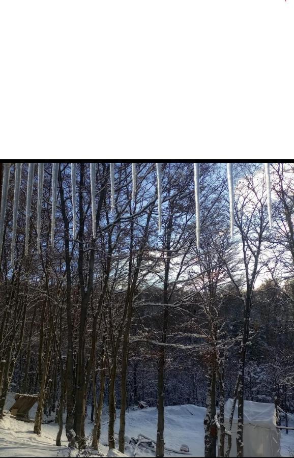 Cabana Los Morros 乌斯怀亚 外观 照片